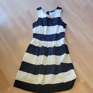 The Limited Women's Midi Dress in Navy and White